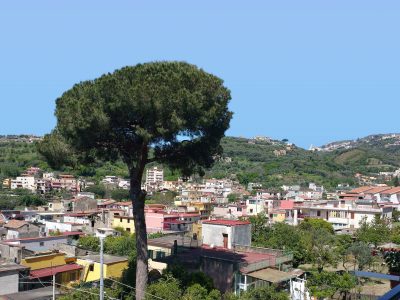 panorama-casola